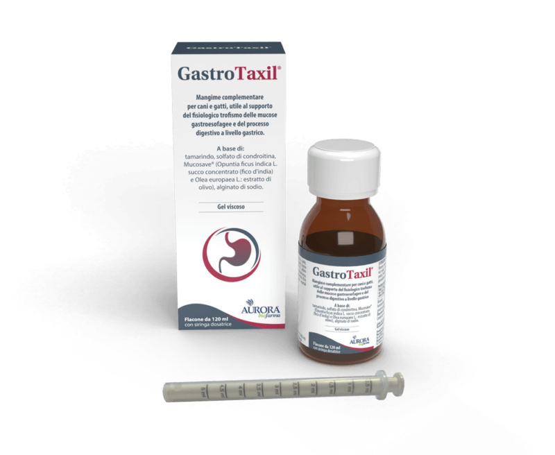 GastroTaxil® - 120ml