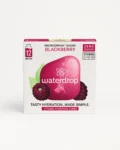 Waterdrop microdrink snow mora - 12 cubetti