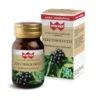Winter Eleuterococco - 40 capsule vegetali